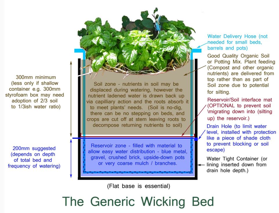 Wicking Bed copy